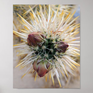 Póster Beleza do Deserto