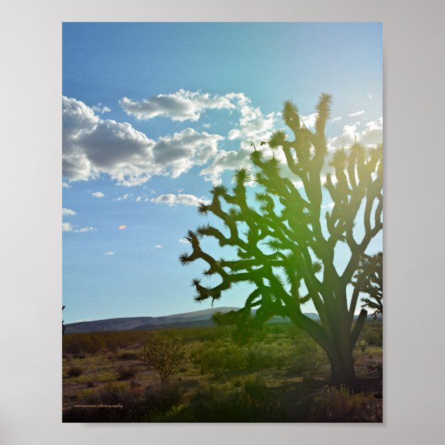 Poster Beleza do Deserto (Frente)