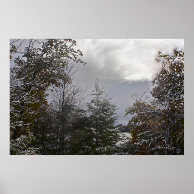 Póster Beleza do Dia da cinza (Frente)