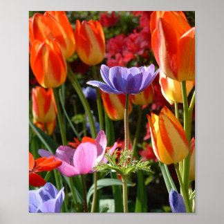 Poster Beleza do jardim