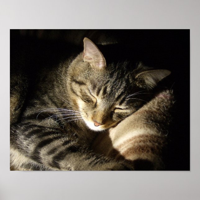 Poster Beleza Dormindo (Frente)