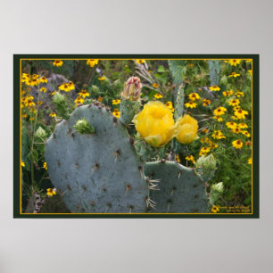 Póster Beleza e Besta