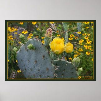 Póster Beleza e Besta