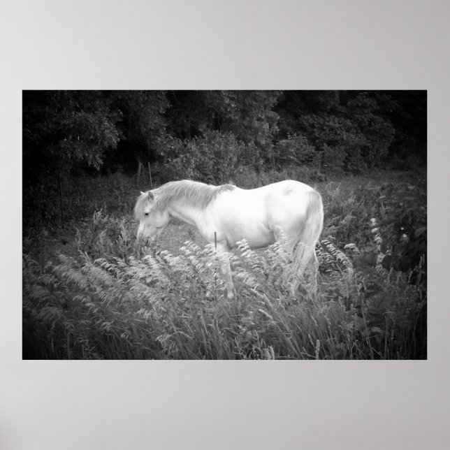 Póster Beleza em preto e branco (Frente)