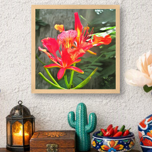 Poster Beleza Flamejante Vallarta Floral Tropical 1583 Ar