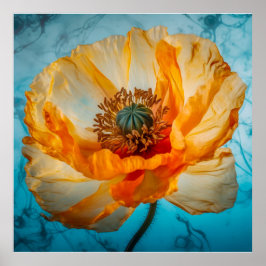 Poster Beleza Laranja