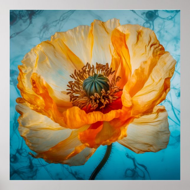 Poster Beleza Laranja (Frente)