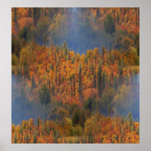 Poster Beleza na queda….
