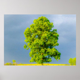 Poster Beleza na Tempestade