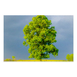 Póster Beleza na Tempestade