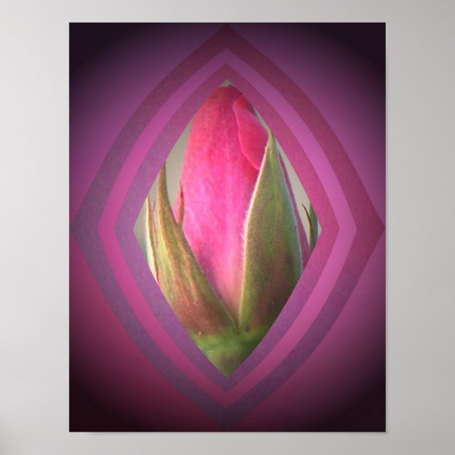 Póster Beleza nas Sombras (Frente)