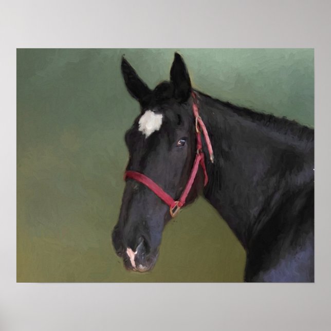 Poster Beleza Negra (Frente)