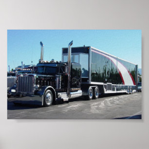 Póster Beleza Negra