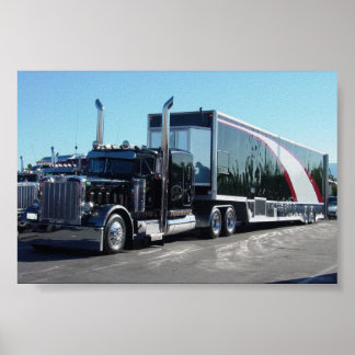 Póster Beleza Negra