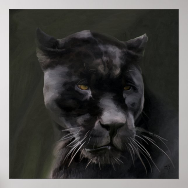 Poster Beleza Negra (Frente)