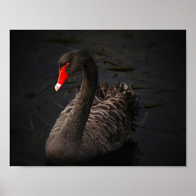 Póster Beleza Negra (Frente)