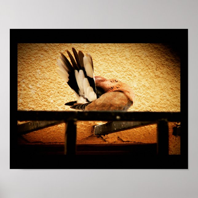 Poster Beleza oculta (Frente)