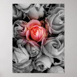 Póster Beleza original