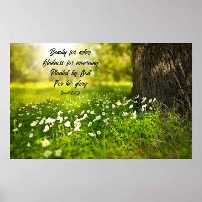 Poster Beleza para Ashes (Frente)