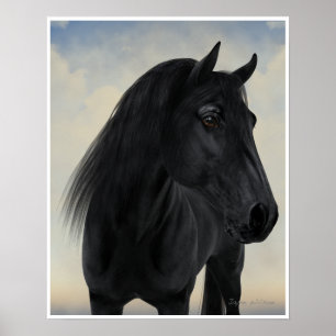 Póster Beleza preta - retrato preto do cavalo do frisão