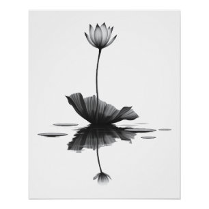 Póster Beleza Pura Lotus