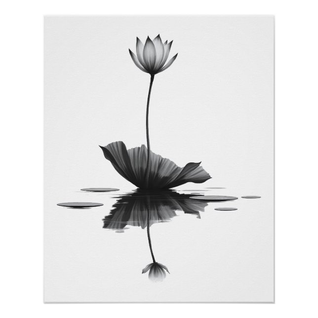 Póster Beleza Pura Lotus (Frente)