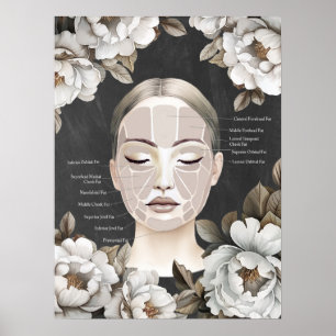 Poster Beleza Salon Anatomia Facial Decor