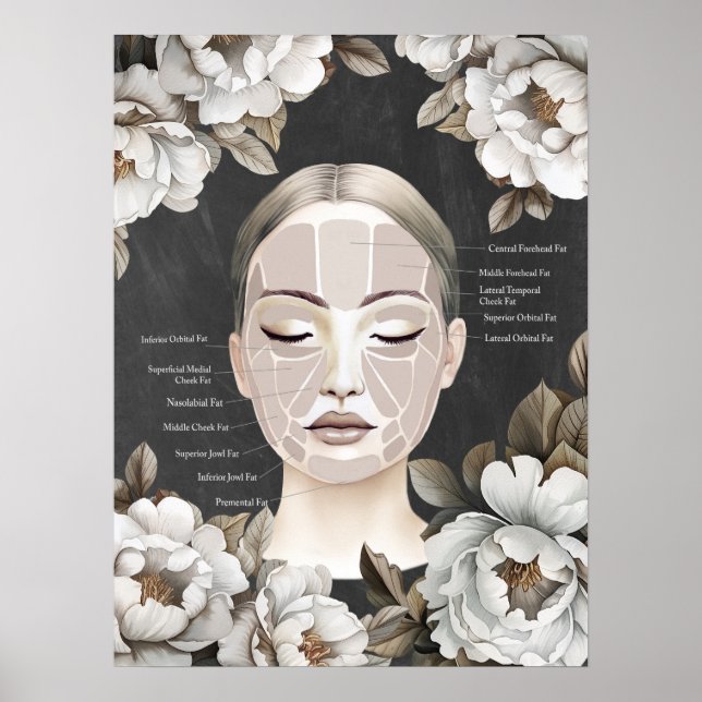 Poster Beleza Salon Anatomia Facial Decor (Frente)