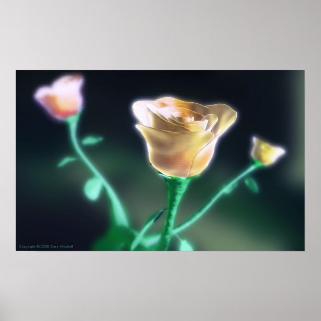 Póster Beleza Sutil (Frente)