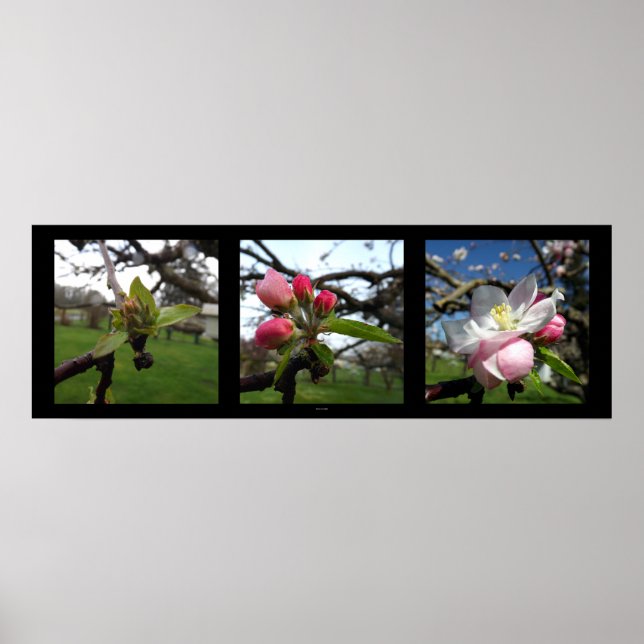 Poster Beleza vem (Frente)