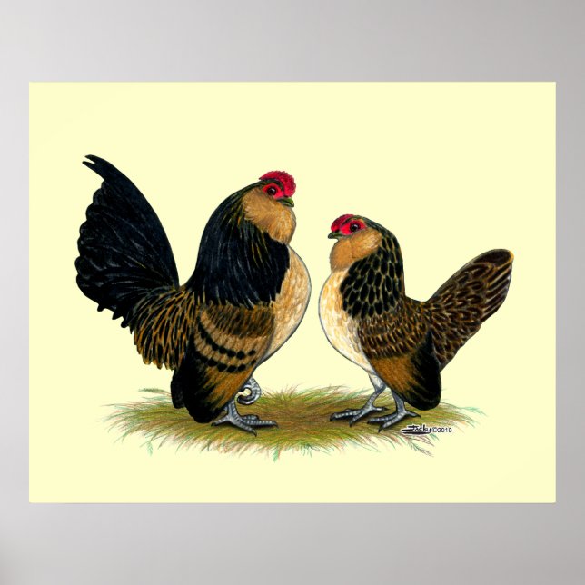 Póster Belga d'Anvers Bantams: Quail (Frente)