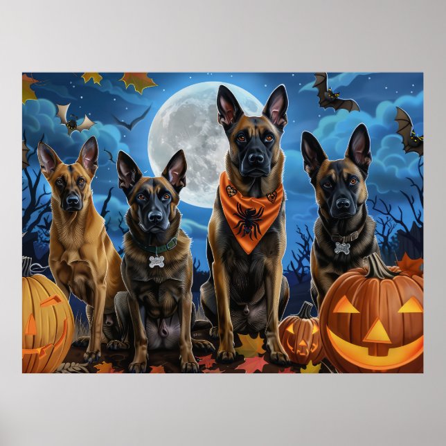 Poster Belga Malinoi Halloween Spooky (Frente)