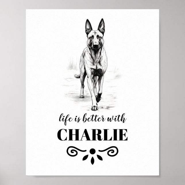 Poster Belga Malinois Life é o melhor nome personalizado  (Frente)
