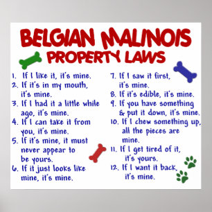 PÓSTER BELGA MALINOIS PL2