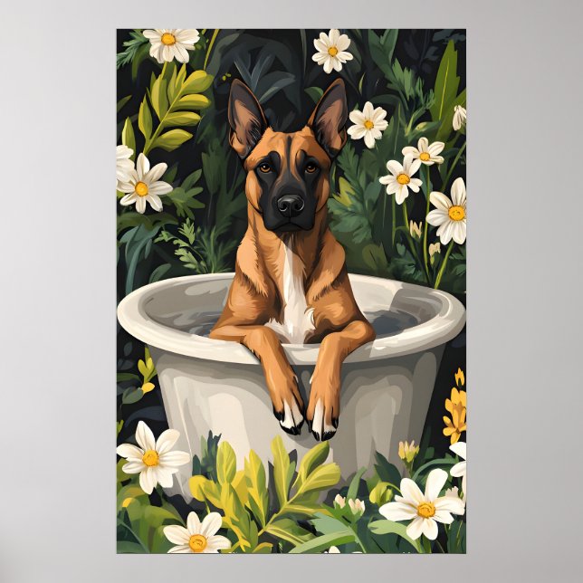Poster Belgian Malinois In Bathtub Poster, Funny Dog (Frente)