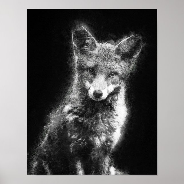 Poster belíssima raposa arte de esboço preto e branco (Frente)