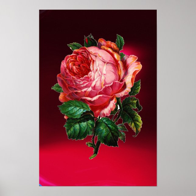PÓSTER BELÍSSIMA ROSA PINK (Frente)