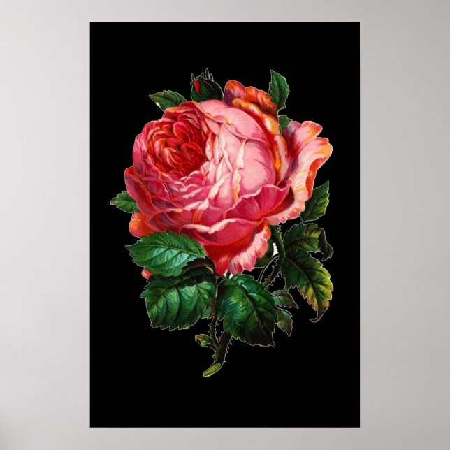 POSTER BELÍSSIMA ROSA PINK (Frente)