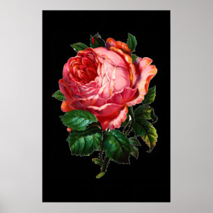 POSTER BELÍSSIMA ROSA PINK