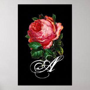 POSTER BELÍSSIMO MONOGRAMA DE ROSA PINK