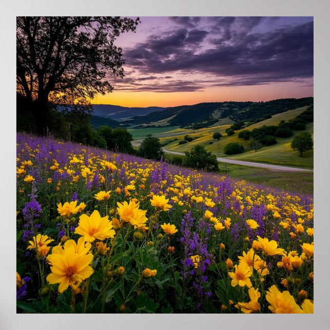 Poster Belíssimo Prado com Flores Vibrantes ao Nascer do  (Frente)