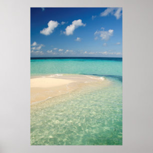 Póster Belize, Caribbean Sea. Goff Caye, A Small Island