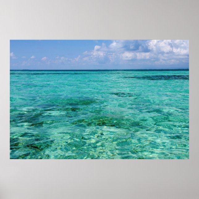 Poster Belize, Stann Creek, Gaiado Sul (Frente)
