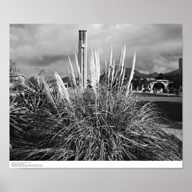 Poster Bell Tower, Pampas Grass, dezembro de 1966 (Frente)