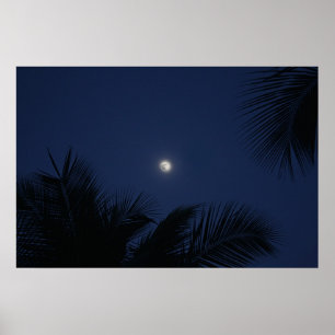 Póster Bella Luna