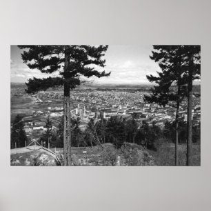Poster Bellingham, WA Town View de Sehome Hill