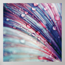 Belo Abstrato cor-de-rosa-azul brilhante