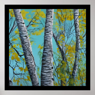 Poster Belo Berço de Verão