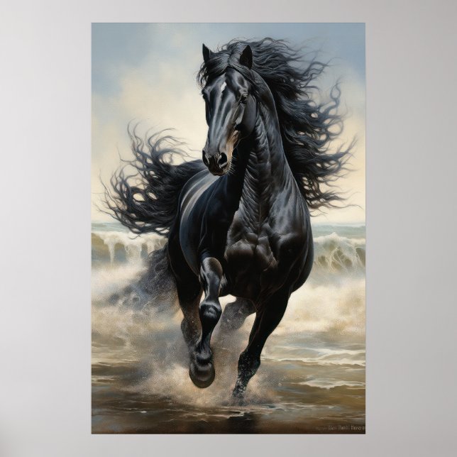 Poster Belo Cavalo Negro (Frente)