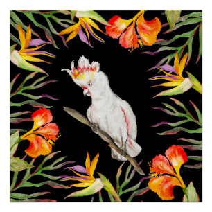 Póster Belo desenho de papagaio de aquarela